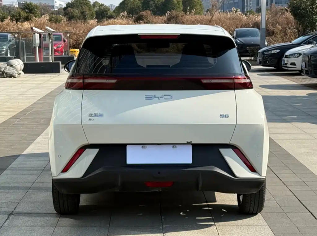 BYD Seagull 2024 - view 1